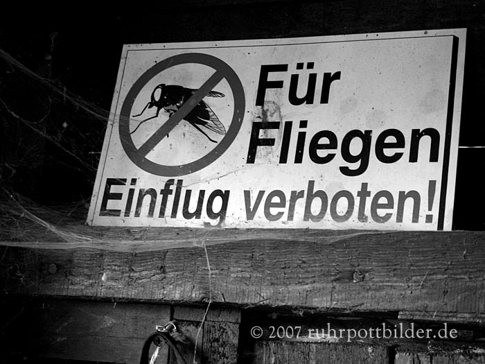 Warnung für Fliegen in einem Gelsenkirchener Schuppen